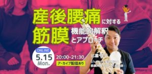 【アーカイブ】産後腰痛の筋膜機能的解釈とアプローチ